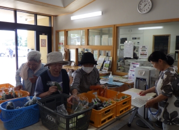 7月5日の野菜渡し日